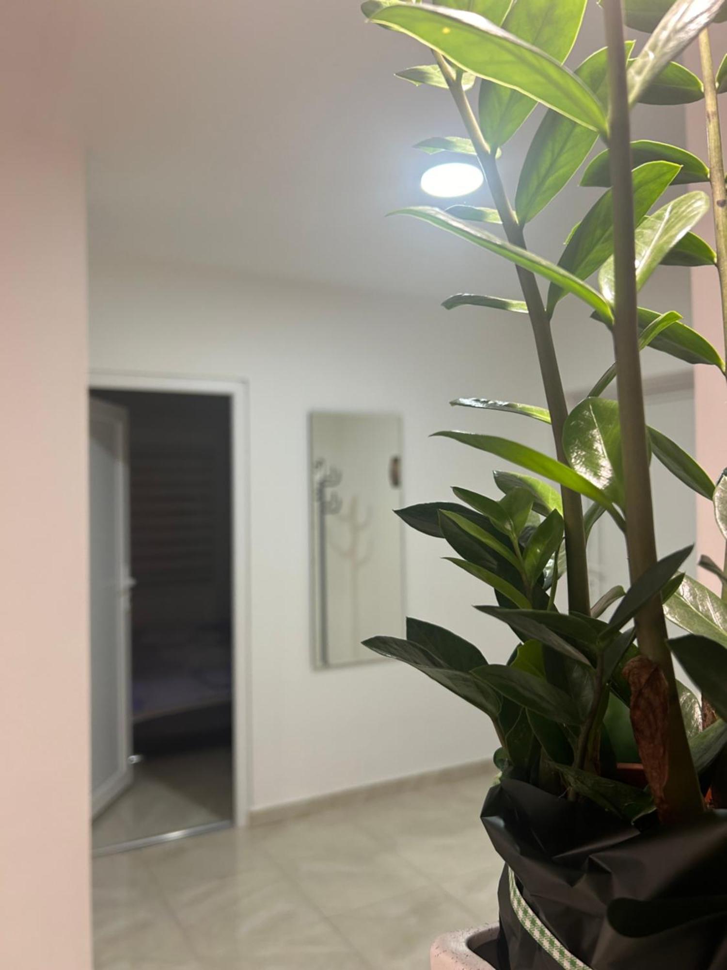 Apartman Diamond Lux Surcin ภายนอก รูปภาพ
