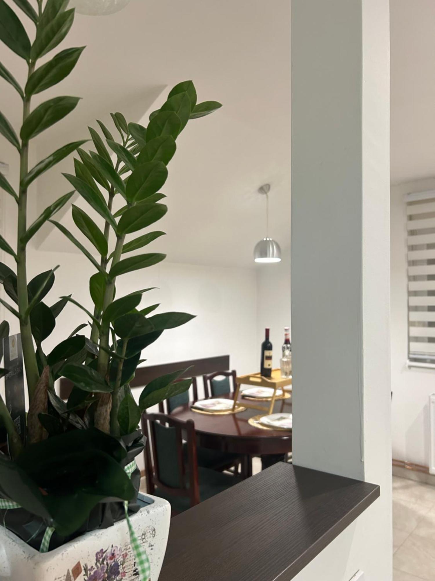 Apartman Diamond Lux Surcin ภายนอก รูปภาพ