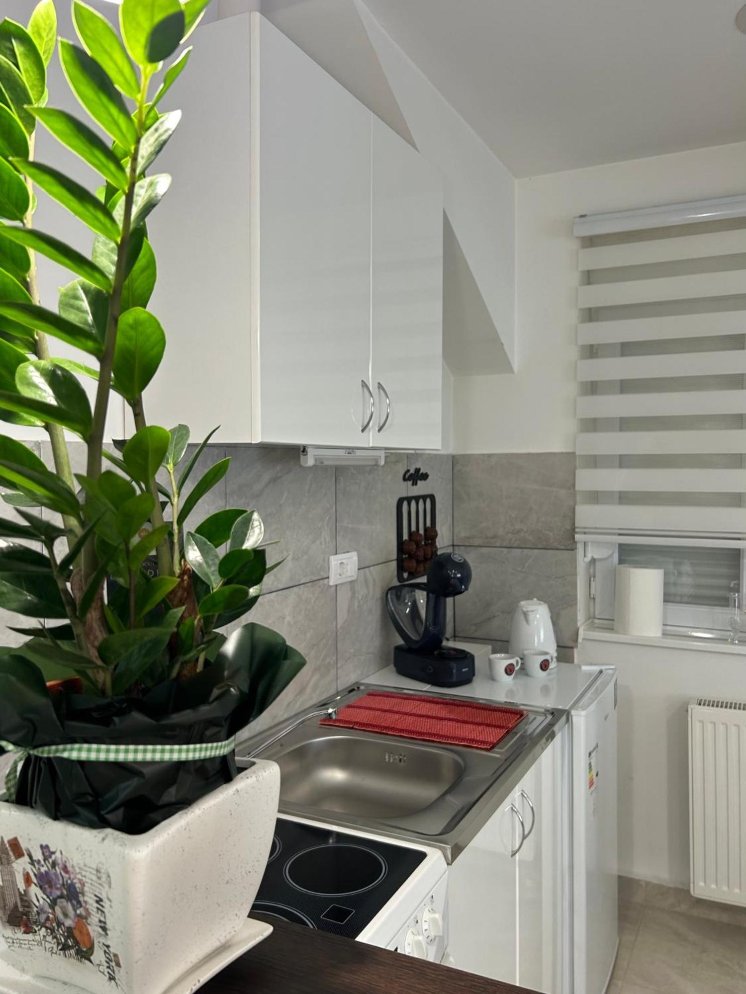 Apartman Diamond Lux Surcin ภายนอก รูปภาพ